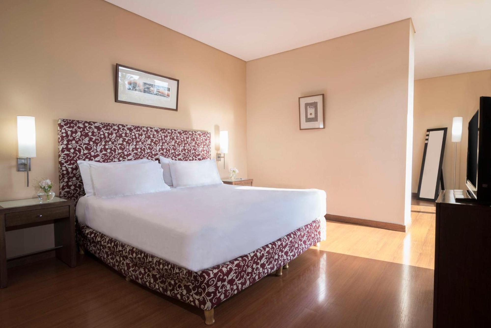 Nh Mendoza Cordillera Hotell Eksteriør bilde